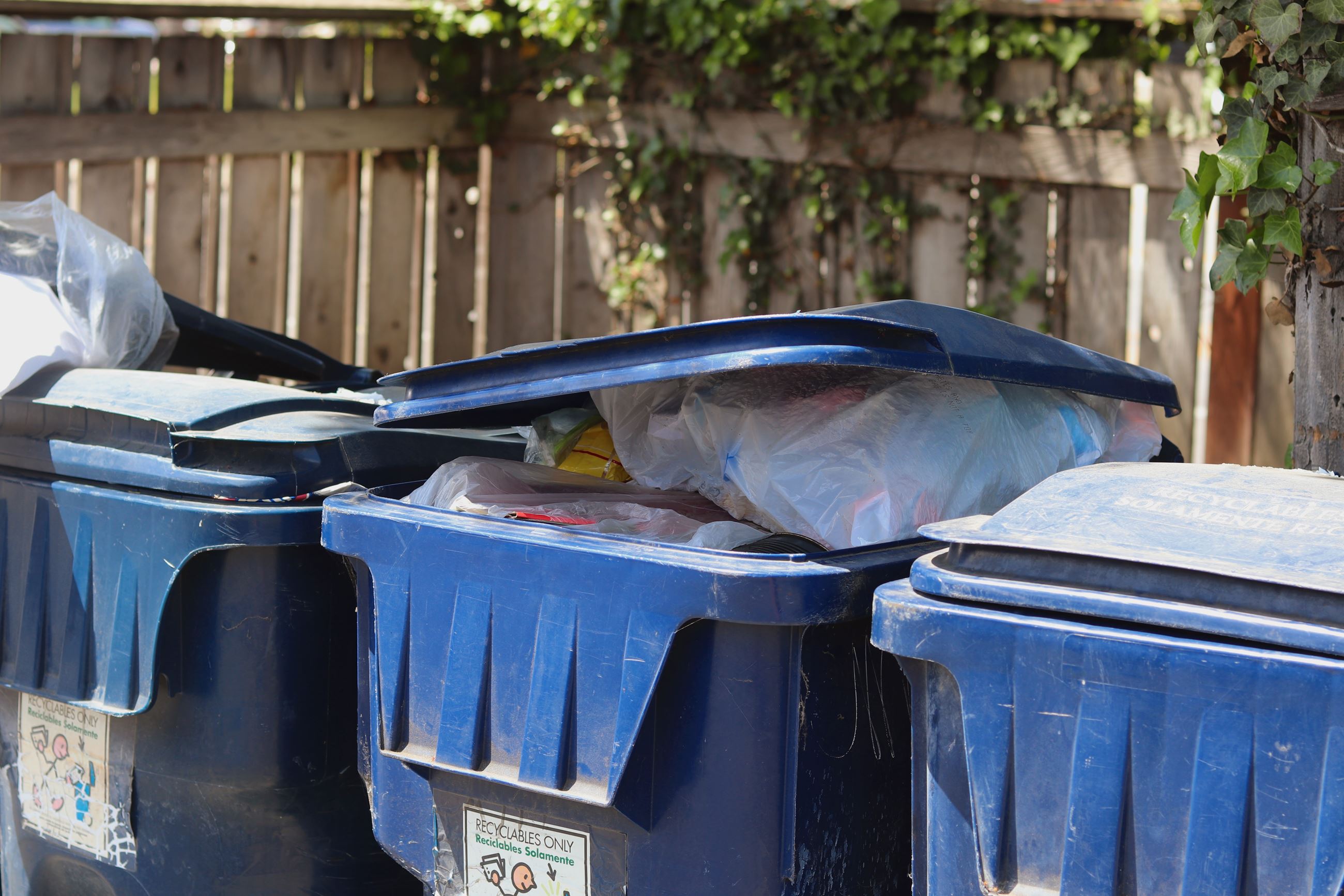 Do not bag recyclables