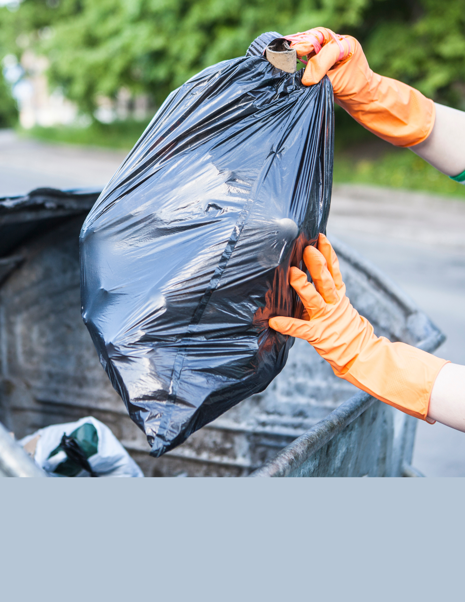 Neighborhood clean up 