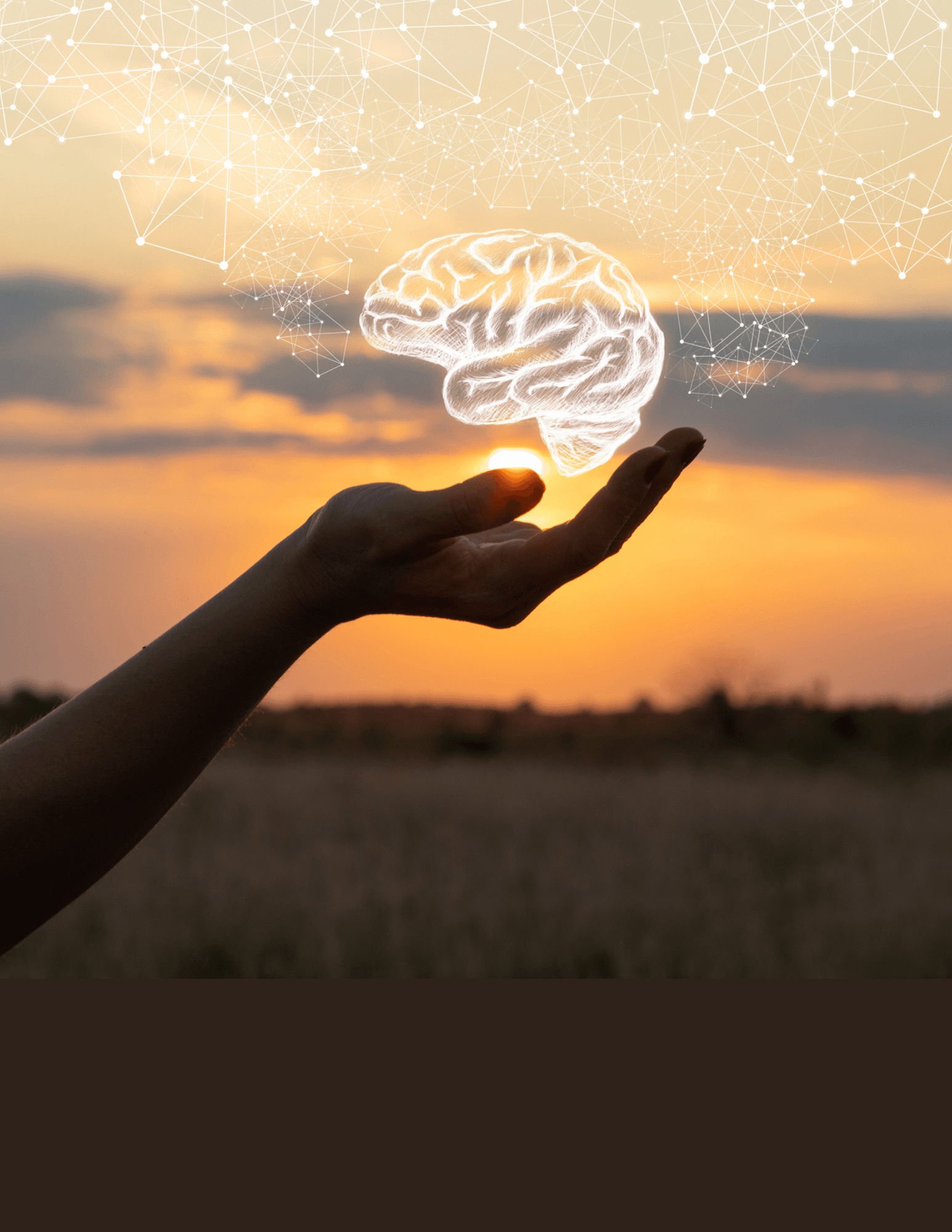 MDT informational session 2023 