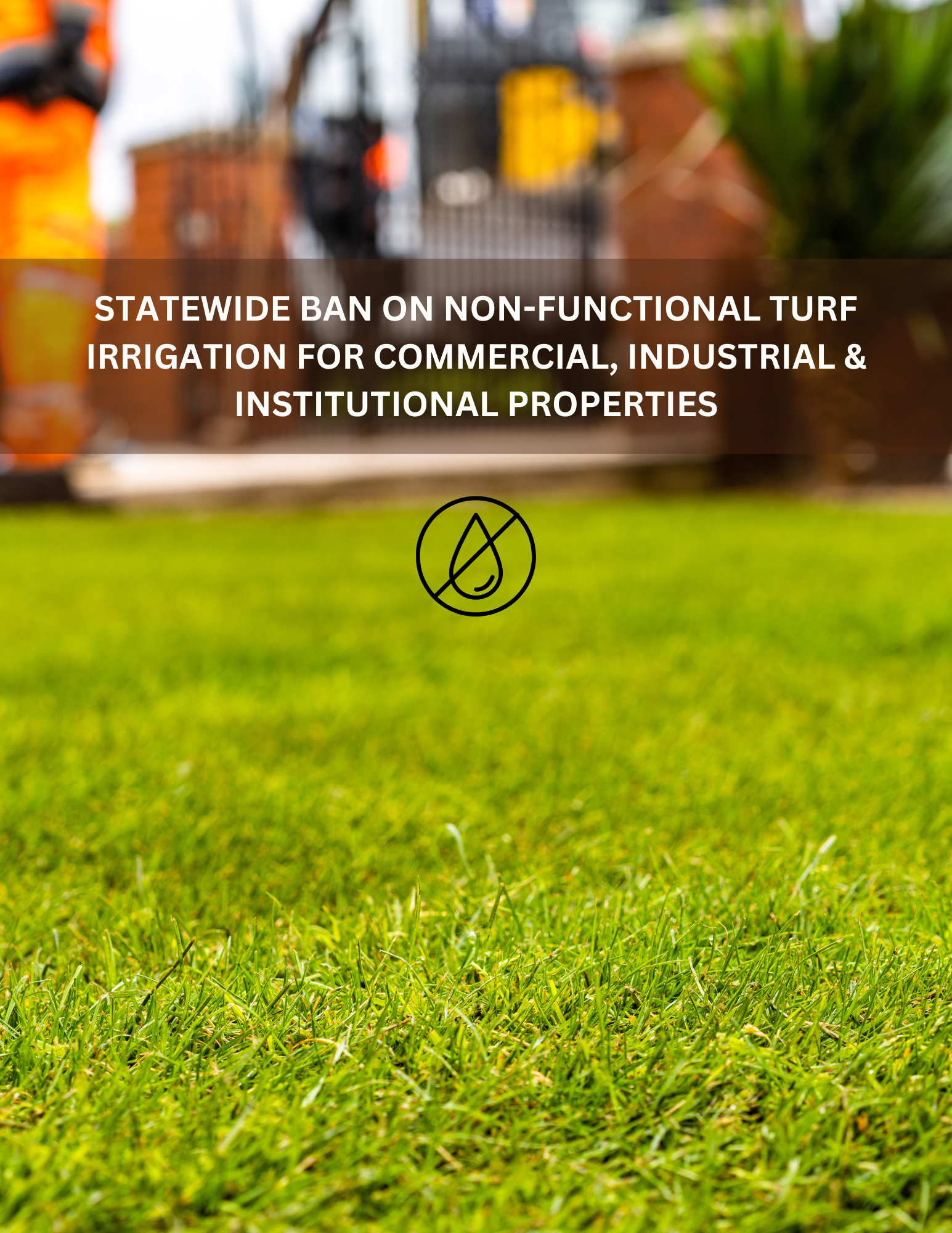 BAN ON NON-FUNCTIONAL TURF (2)
