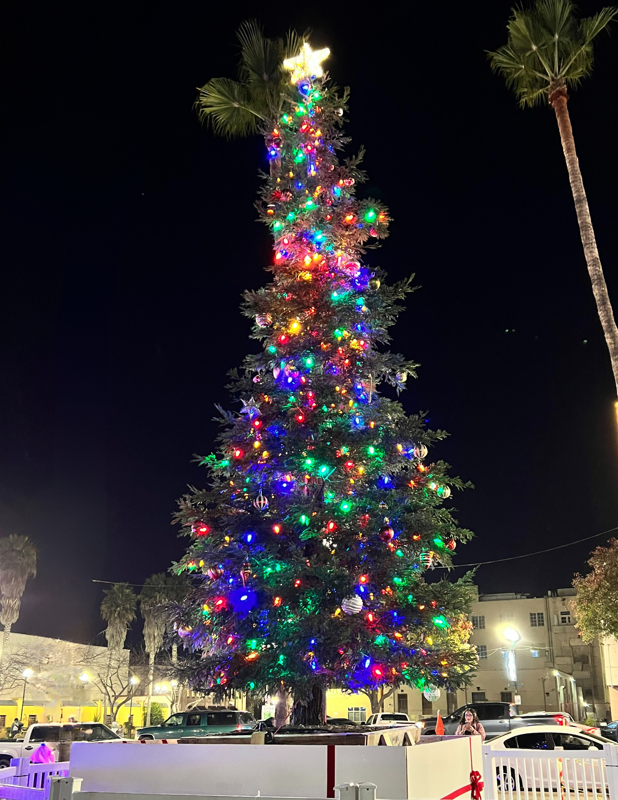 Tree Lighting Newsflash