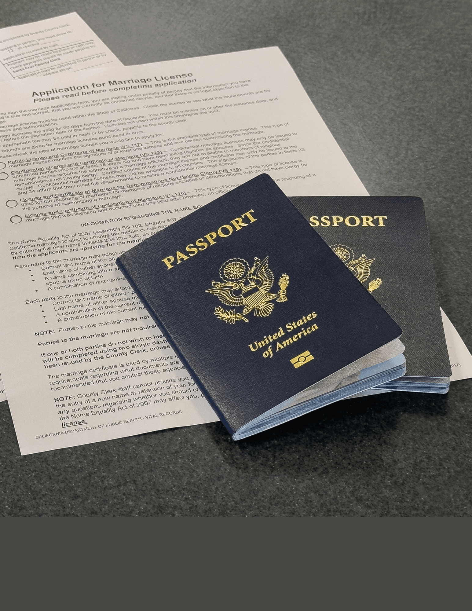 County Clerk Services Web Template 