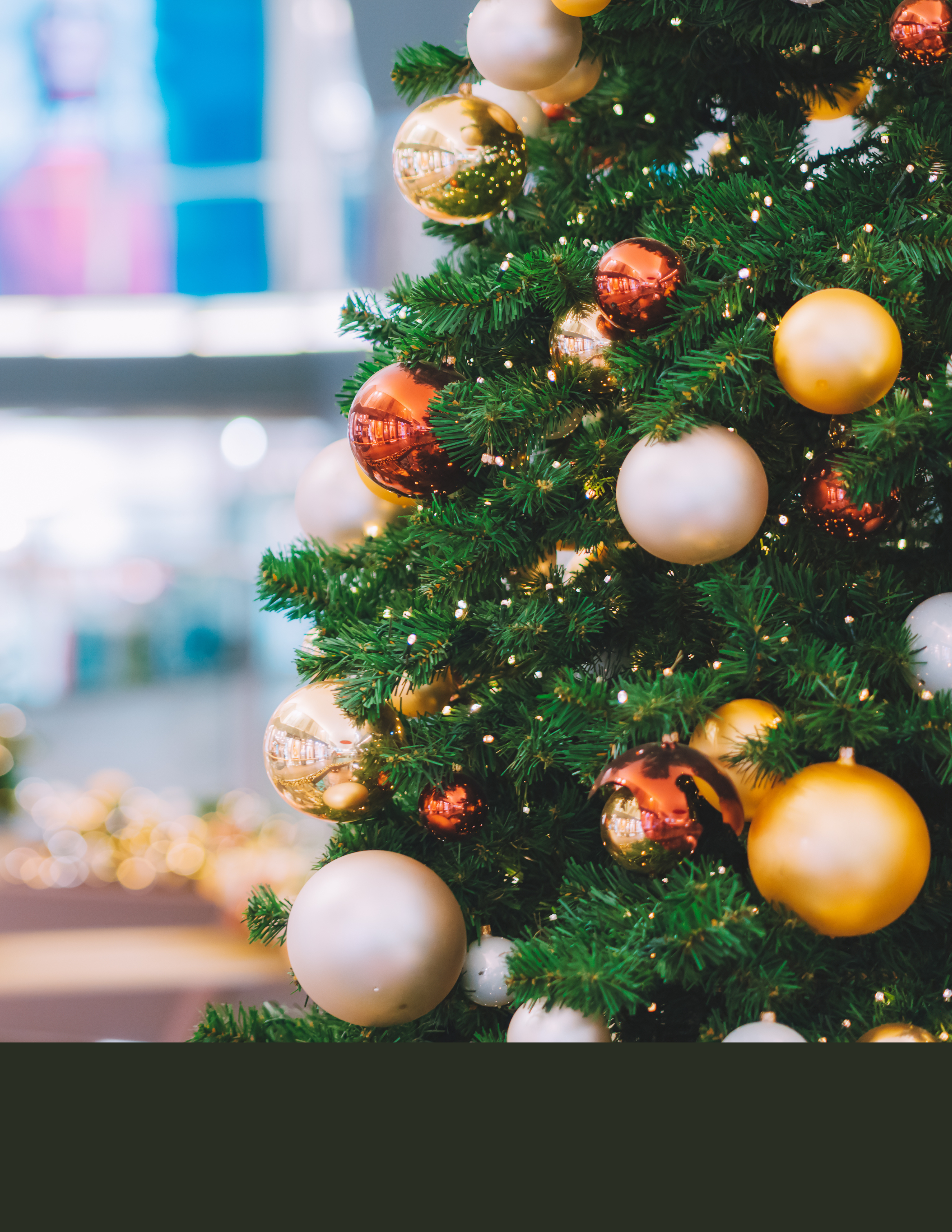 Xmas tree disposal Web template 