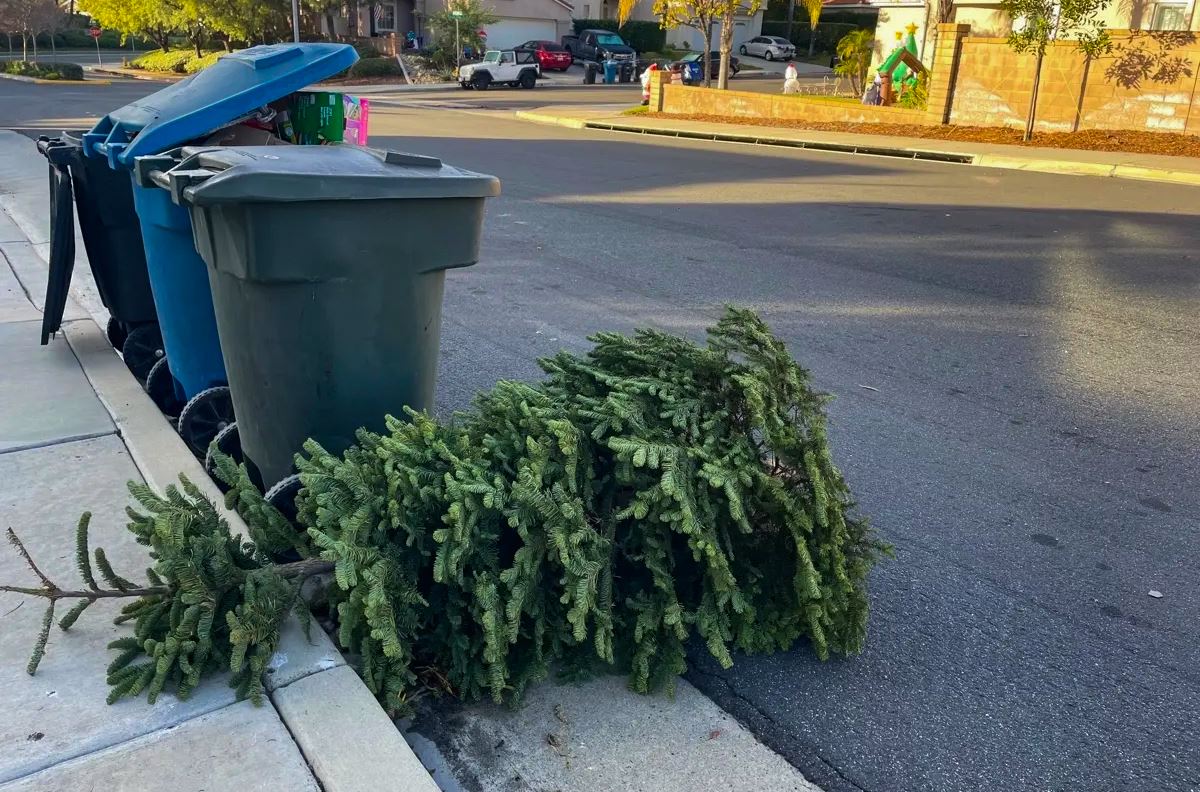 Christmas Tree - Longbeach - edited