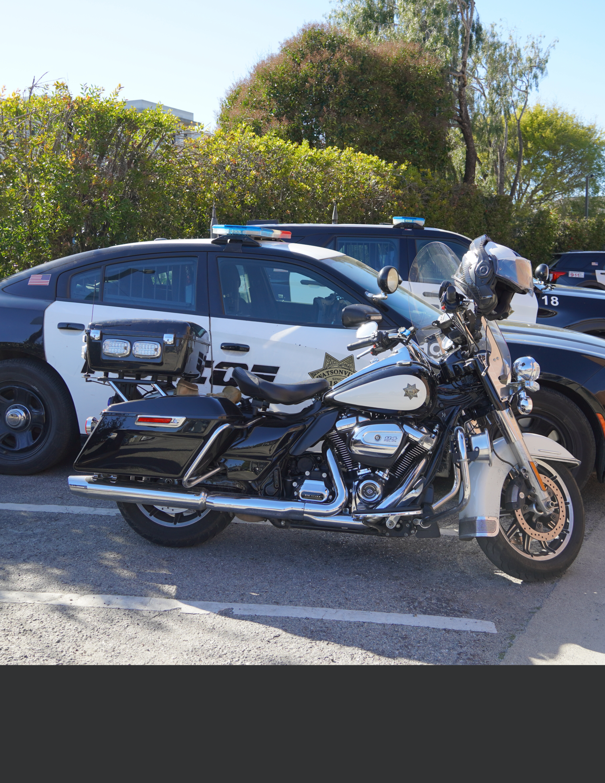 WEBSITE TEMPLATE  (9)