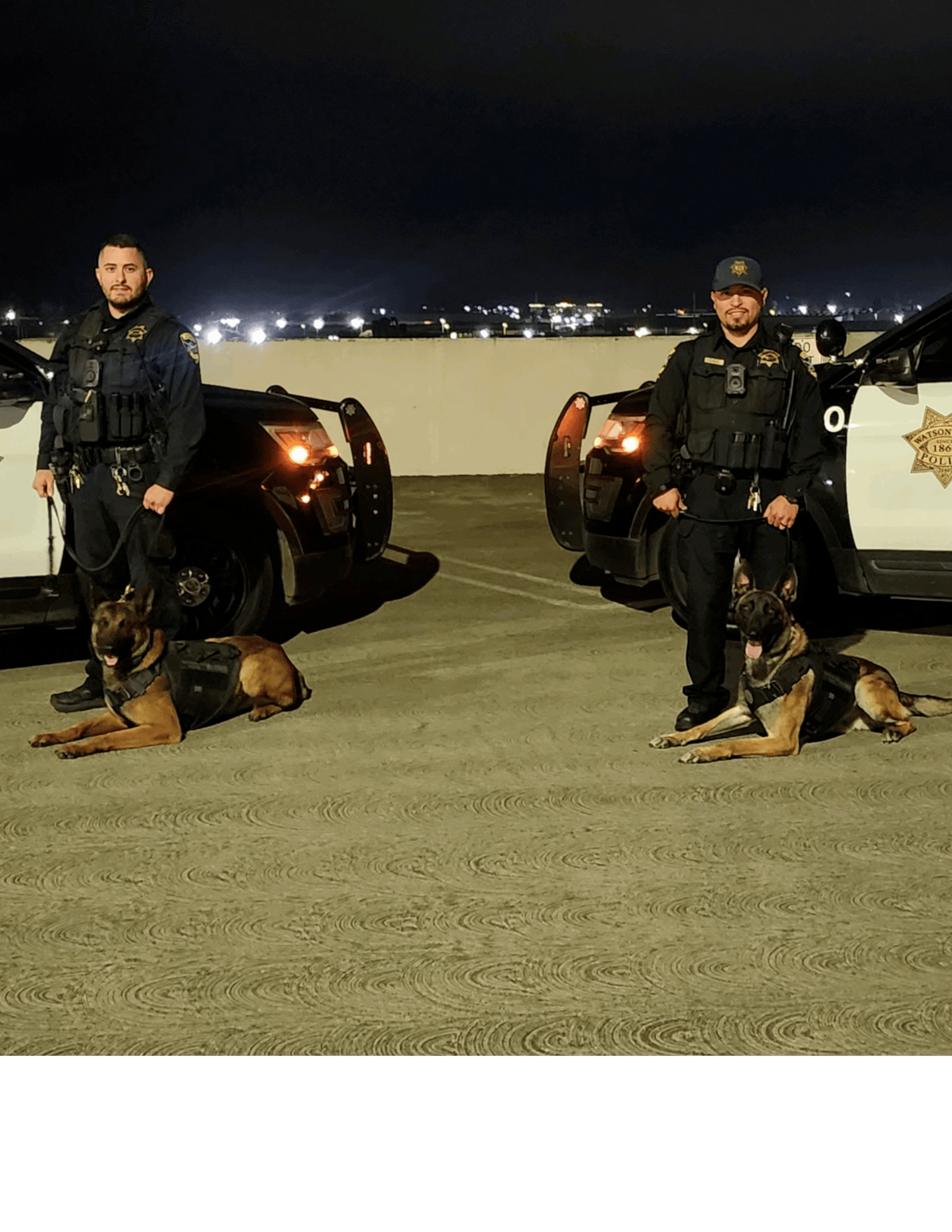 WPD police dogs receive ballistic vests WEB Template 