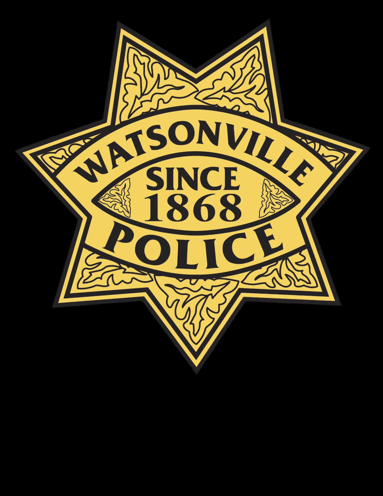 Critical Incident Video