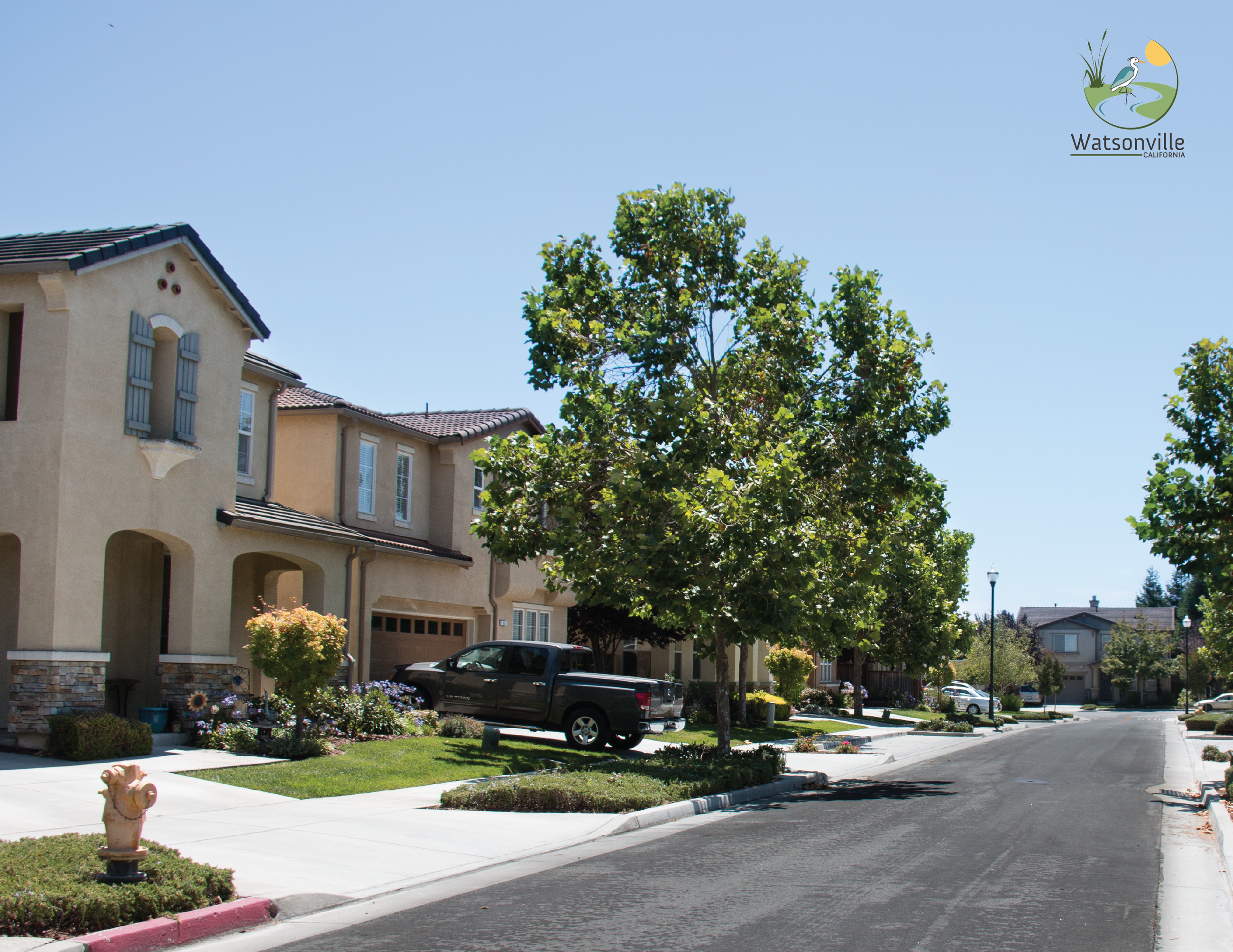 Tree and House Neighborhood 