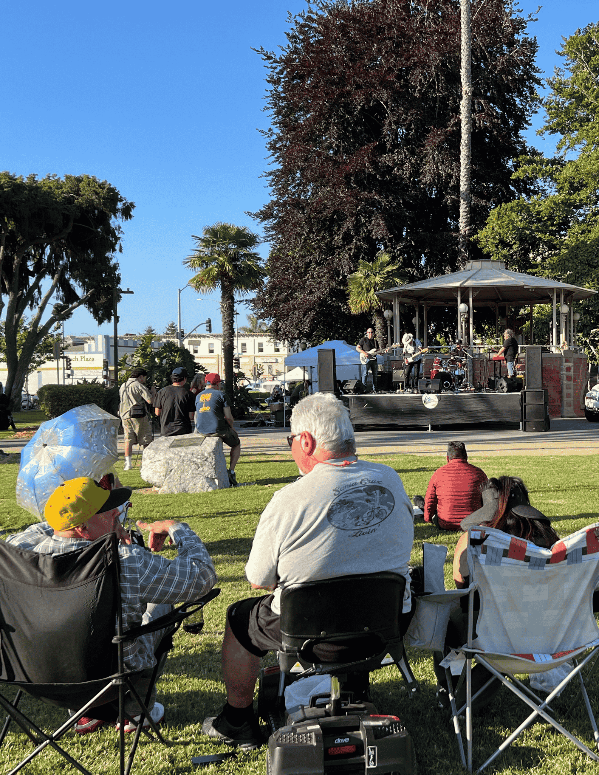 MIP Website newsflash