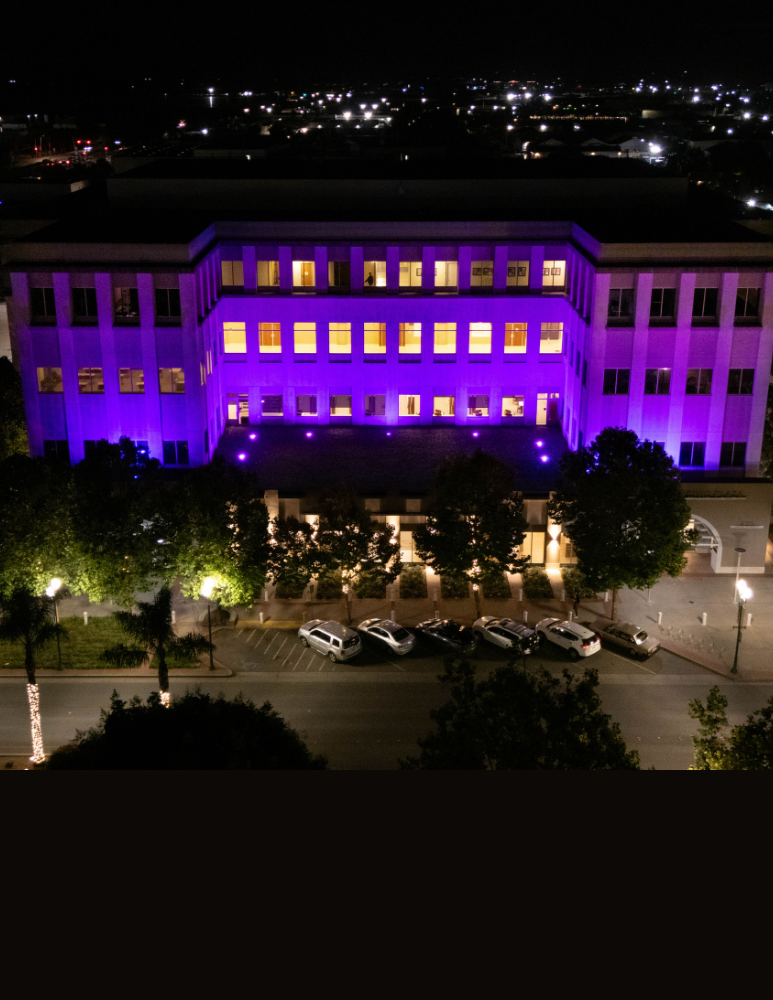 Civic Plaza on Main Street glowing purple 