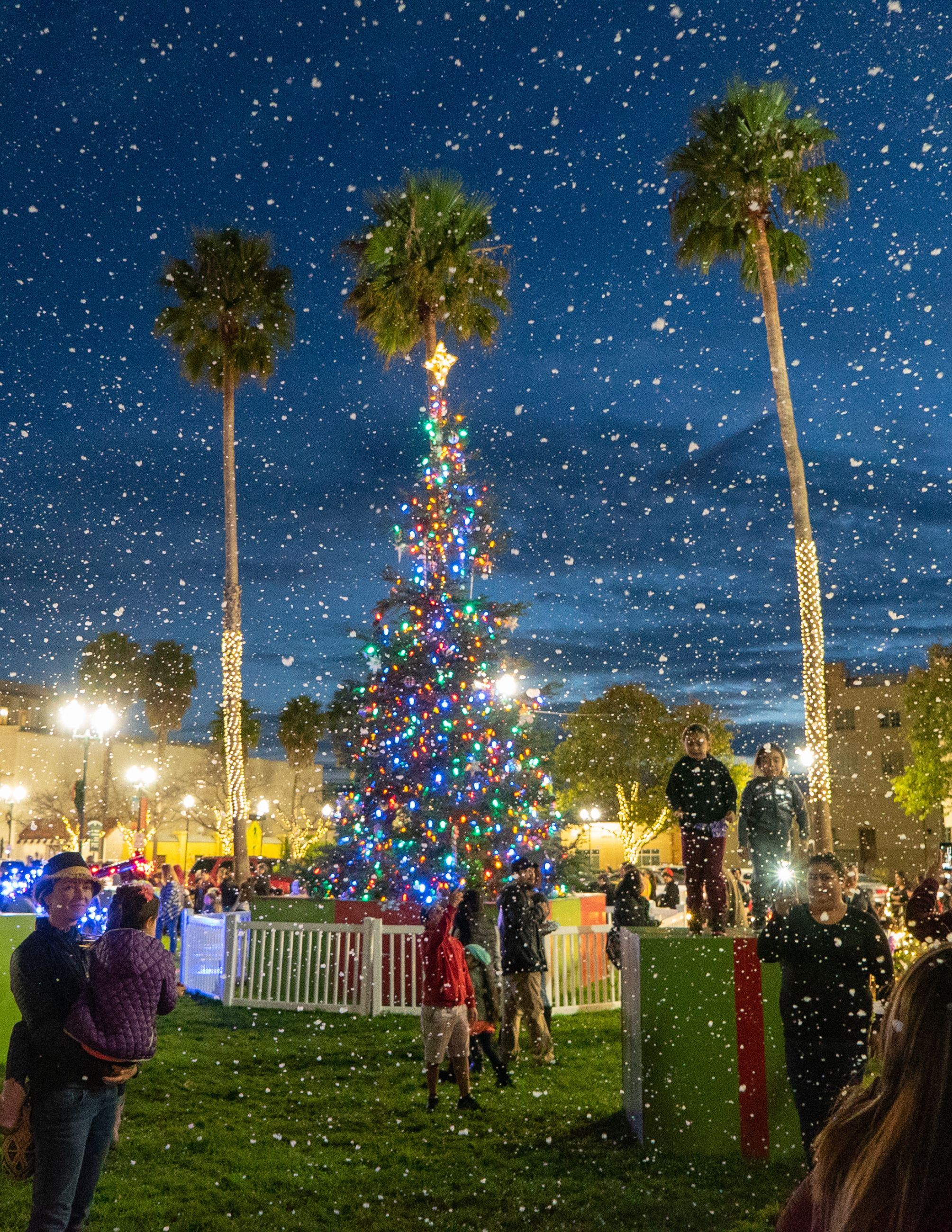 Noche de Brillo Newsflash