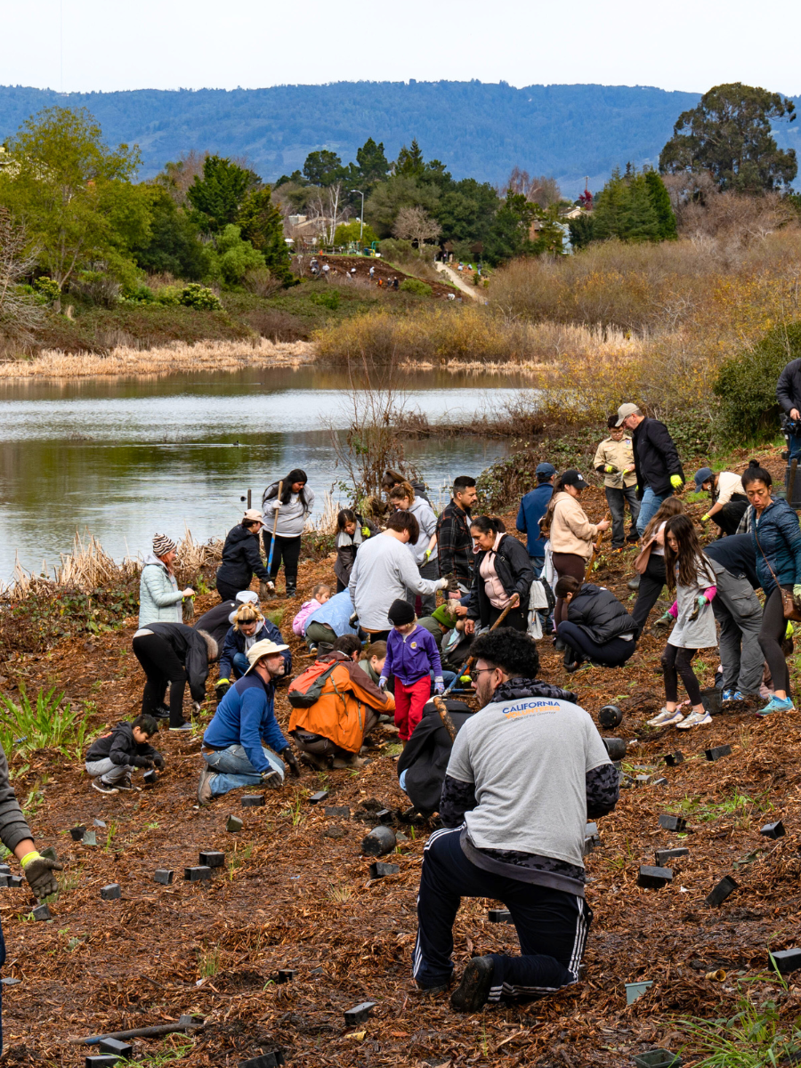 Wetlands Day Newsflash Cover