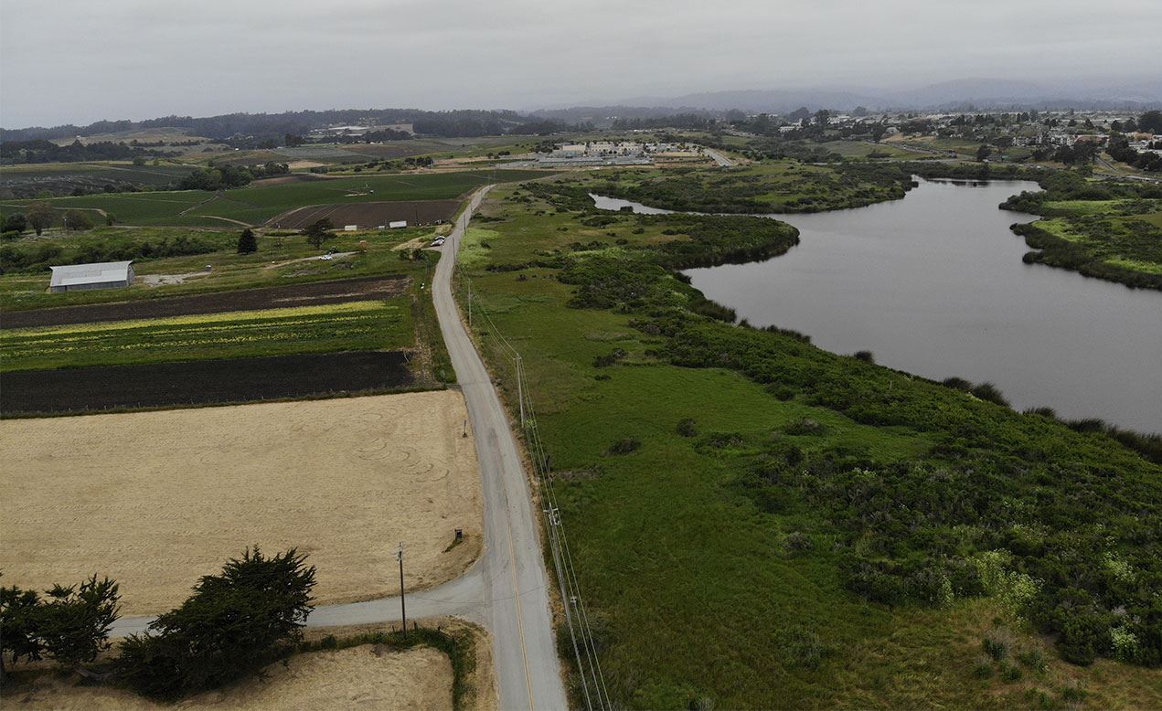 Photo of the area where the Lee Road Trail Project is to be built